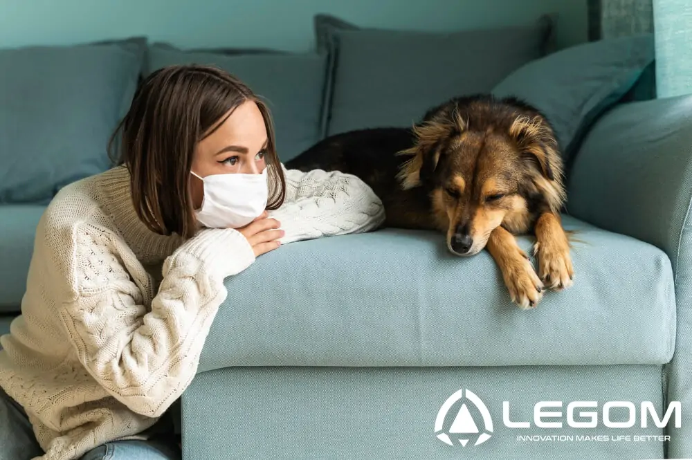 Pet Dander Allergy Solutions How to Cuddle Your Beloved Pets Without Allergies!